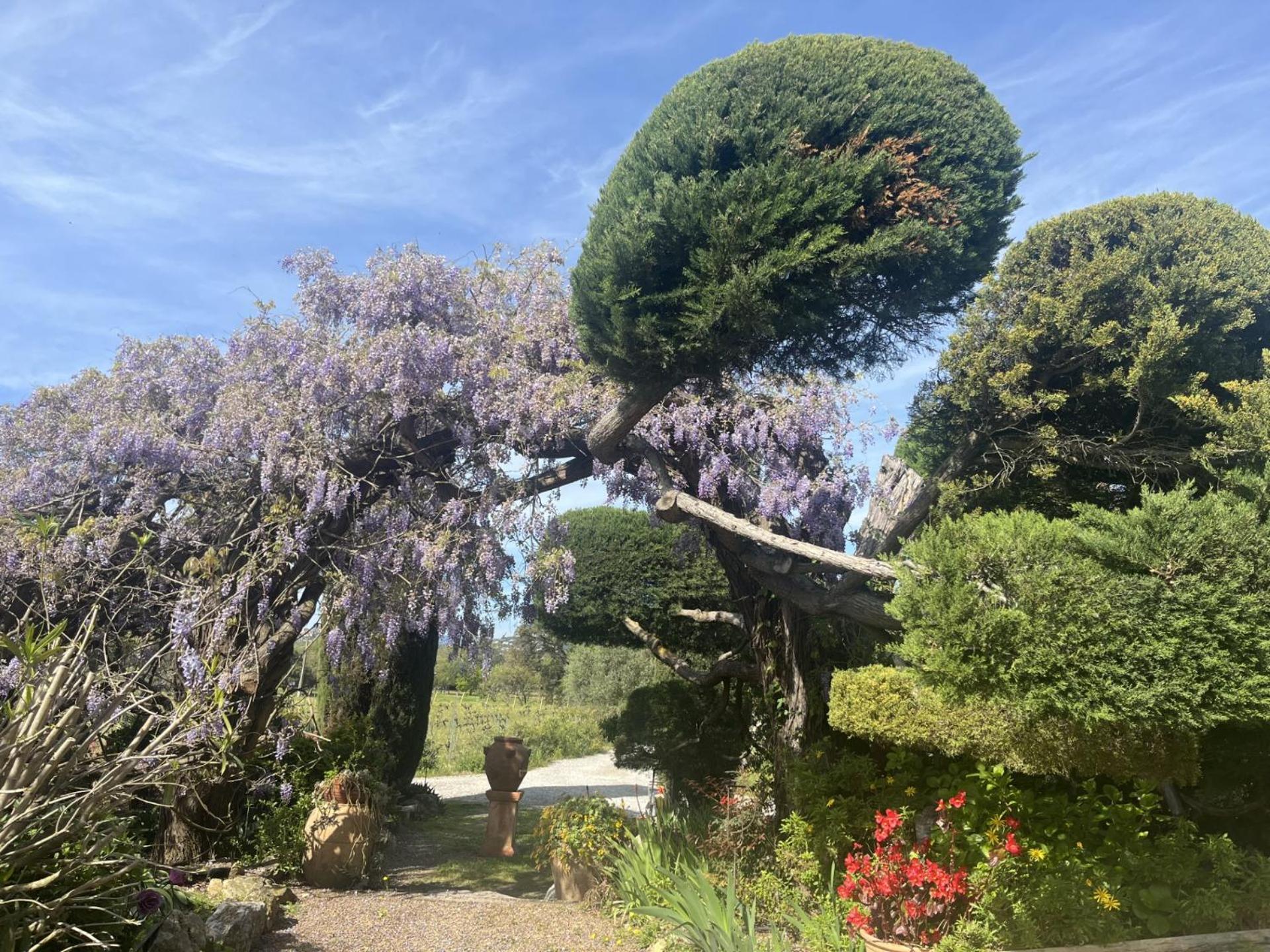 La Maison De Justine Grimaud Zewnętrze zdjęcie